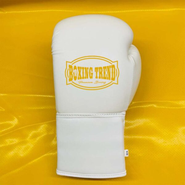 Boxing Gloves - Image 6